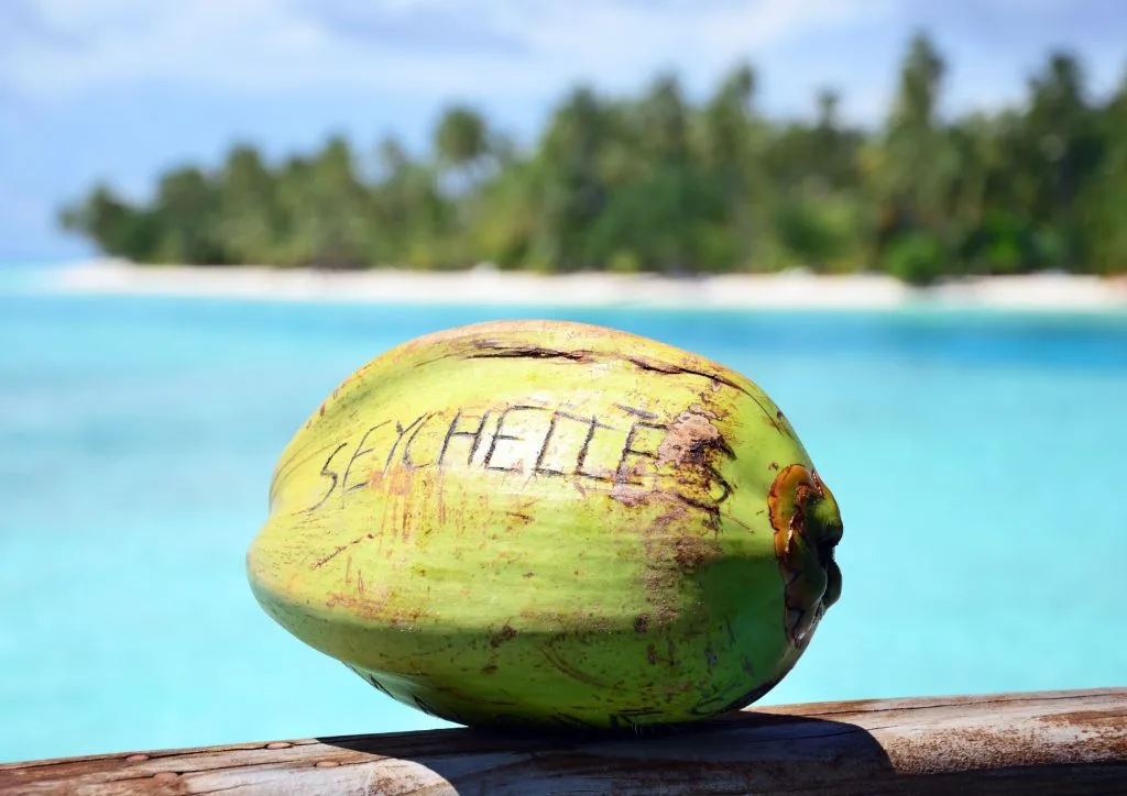 Public Facilities 3 green coconut